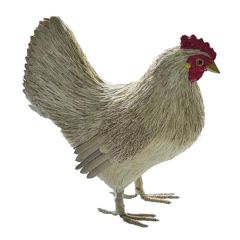 Big Hen 13.5X6.75X13