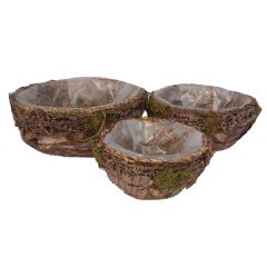 S / 3 Birch Peel Bark Moss Basket W Liner