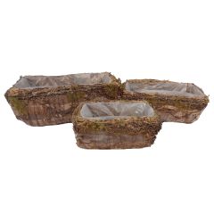 S / 3 Rectangle Birch Peel Basket W Liner