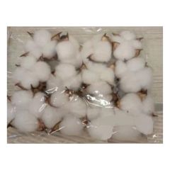 2" Cotton Head Pod W/1.5" Wired Pick 3" H