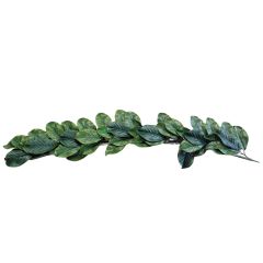 50" MAGNOLIA LEAF SWAG
