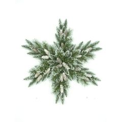 32 " Mixed Bristle Pine Star X 78 Tips w / Cones