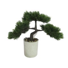 10" Bonsai Plant in Paper Pot