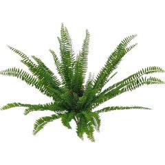 X54 Soft Plastic Zoey Fern 25" Dia - Green